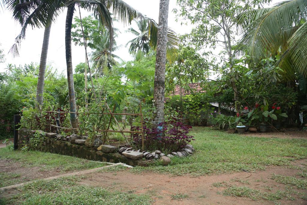 Rainbow Guest House Mirissa Rom bilde